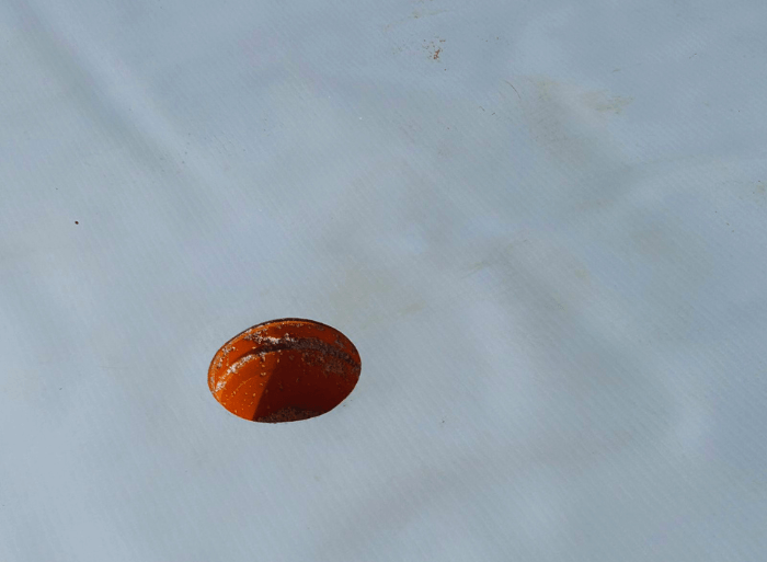 Dronové záběry a detaily hotových plochých střech z PVC fólie a moderních šedých fasád na projektu Rezidence Lipové sady v Rousínově od firmy Mister stav s.r.o.. Fotografie zachycují precizní zpracování hydroizolace a zateplení celého komplexu novostaveb.